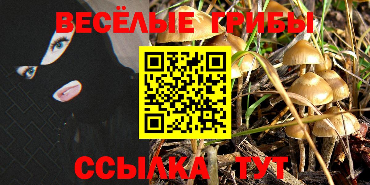 Псилоцибиновые грибы Cubensis Курск