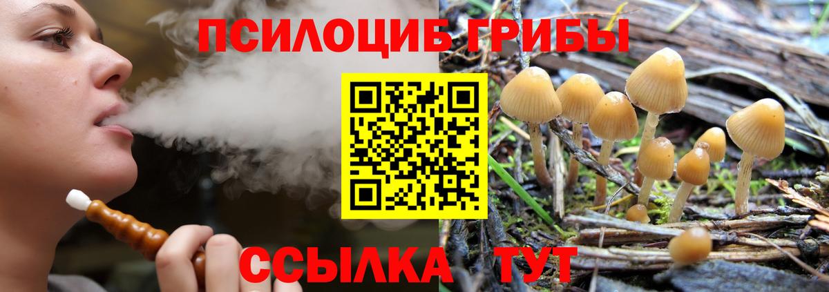 Курск  Галлюциногенные грибы Psilocybe  Вход с VPN 